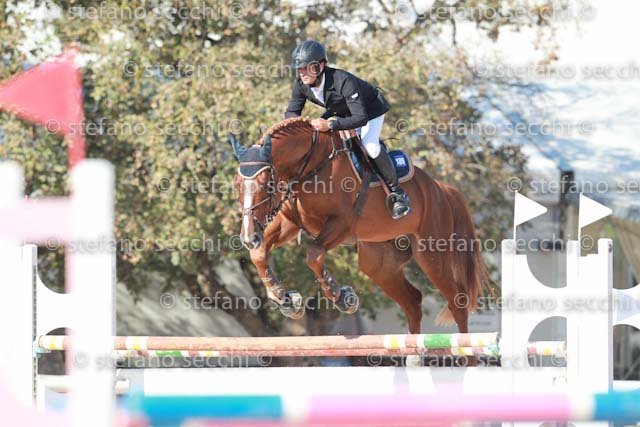 INSELVINI_QUIDORADO_GIO CAV 2011_SS3_6577.jpg